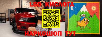 гидра Славгород