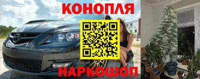 гидра Славгород