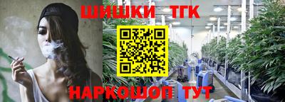 гидра Славгород