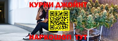 гидра Славгород