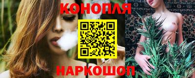 гидра Славгород