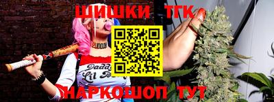гидра Славгород