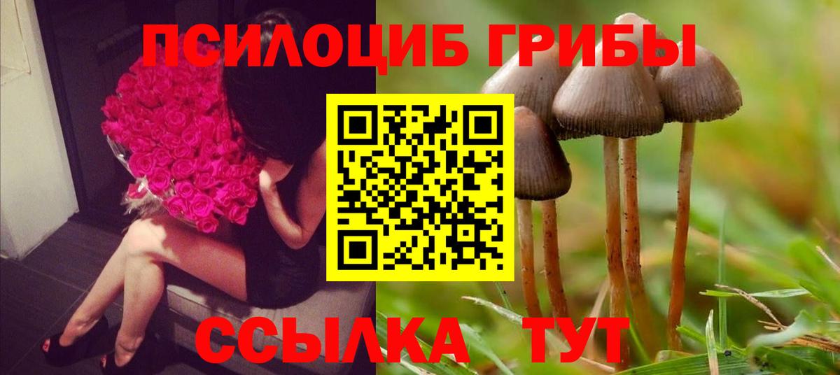 Псилоцибиновые грибы мицелий  Вход с VPN  Малгобек  Псилоцибиновые грибы мухоморы 